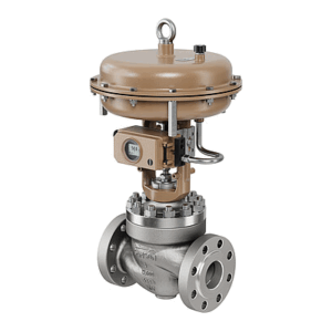 251GR Caged Globe Valve