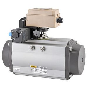 BR 31a · PFEIFFER Rotary Actuator Edition 2020+